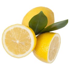 [프라임농장] 실속 레몬 5kg, 1박스, 단품