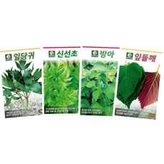 향이좋은 쌈채소씨앗 4종세트 / 당귀 깻잎 방아 신선초 / 일당귀 잎들깨 방아잎 신선초 명일엽 배초향 종자 씨 나물, 1개