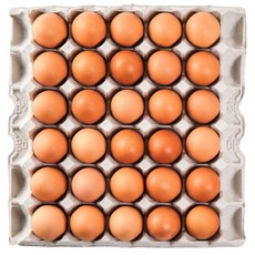 [HACCP] 맥반석 구운계란 구운란 대란, 30구, 1개