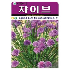 허브 챠이브 (차이브) 씨앗 (합 800립) 허브씨 종자