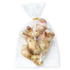 월드푸드 WORLDFOOD GALANGAL 갈랑갈 CU RIENG, 1개, 100g