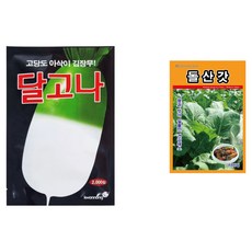 [주주씨앗] 달고나 무 2000립 + 돌산갓 세트 여름 가을 파종 김장 채소씨앗 종자 씨 무우, 1개