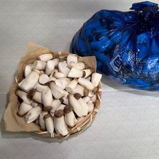 팜n팜 친환경 새송이 버섯, 1박스, 미니 새송이 1kg