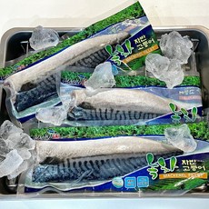 노르웨이 녹차 자반고등어 3kg(160-210g 15-18팩 대/특대) - [여수동국수산], 1개