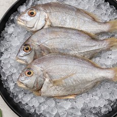 어부백서 국내산 자연산 손질 반건조 참돔 3미 (미당 250g내외) 구이용 조림용, 3개, 300g