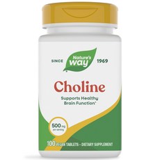 네이쳐스웨이 콜린 500mg 타블렛, 100정, 1개