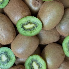 <가람> 제주산 신선한 그린키위/새콤달콤 참다래/프리미엄, 1박스, 5kg 왕특대과