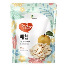 자연트리 동결건조배칩 10g, 1개