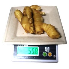 500g 세척생강 중국산생강 수입생강식당 대강 업소용 급식 도매