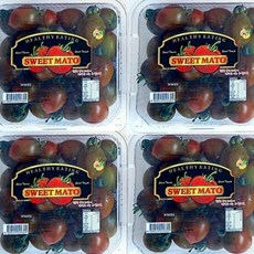 스테비아 대추방울토마토 망고향 블랙스윗마토 500g X 4팩, 2kg, 1박스