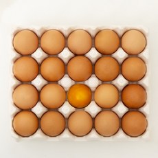 난각번호1번 무항생제인증 안심 유정란 구운계란 대란, 1개, 20구