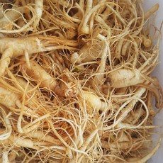 금산 참 인삼 수삼 작은 콩난발250g 세척진공포장, 1세트, 250g