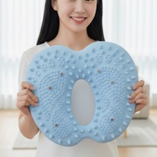 코어즈 웰니스텝 가정용 에어 지압 스텝퍼 천국의계단, 블루