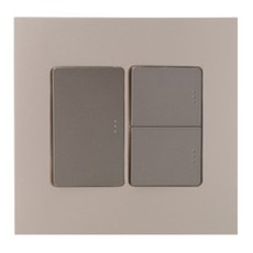 第一電氣工業 Adonis 開關 香檳金 單切三開 雙聯盒用, 1個