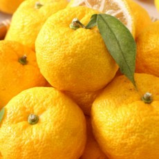 [고흥 저장 유자] 면역/피로에 좋은 향긋한 유자, 1박스, 3kg(못난이)