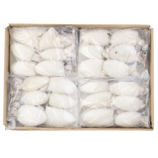 베이비이까 6미 미니갑오징어 2.16kg, 180g, 12개