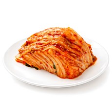 명가살림 100% 국내산 재료 갓담근 전라도식 썰은김치 맛김치, 5kg, 1개