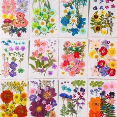 압화 꽃 F형 세트 공예 재료 레진 아트 꽃압화 드라이 플라워 장식 보존화 만들기, 04.럭키플라워(1세트)