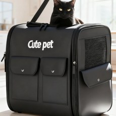 반려동물 이동장 백팩 접이식 고양이 강아지 백팩 해띠, 1개