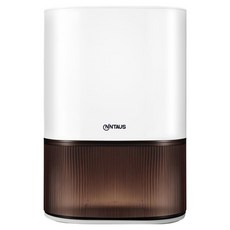Nintaus 2.5L 화이트 가정용 제습기 무소음 원룸 침실 욕실 습기제거 방습기, VS-DH09, 흰색