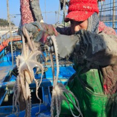 아빠낙지 싱싱한 살아있는 목포낙지 신안낙지 활낙지 산낙지 뻘낙지 당일발송, 중낙지130g내외, 5개