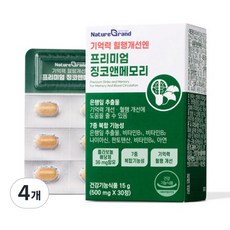 네이처그랜드 프리미엄 징코 메모리 1개월분 기억력개선 은행잎추출물, 4개, 30정