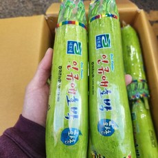 국내산 애호박 인큐애호박, 1개, 애호박 1개입