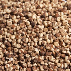국산 단양 찰수수쌀 2025년생산 농가직송 오종만농장, 3개, 1kg