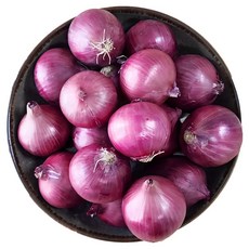 신선 샬롯 모충 1KG 미니 shallot 신수코리아, 1개