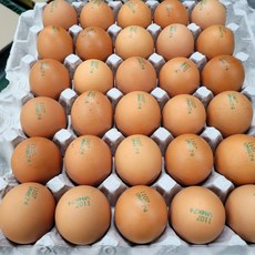 알부자집 무항생제계란 왕란, 30구, 3개