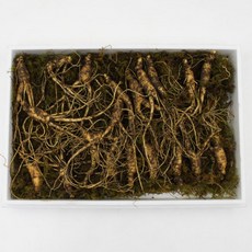 강원도 횡성 6년근 장뇌삼 자연삼 산양삼 건강용, 1세트, 100g