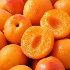 [산지직송] 꿀팜즈 새콤달콤 고당도 살구, 1박스, 500g