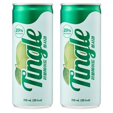 Tingle 리얼에이드 청사과 프리미엄 탄산음료, 30개, 250ml