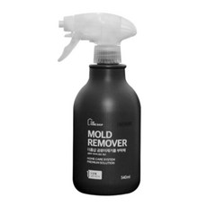 더홈샵 초강력 곰팡이제거제 벽지 욕실 베란다 벽지 배수구, 1개, 540ml