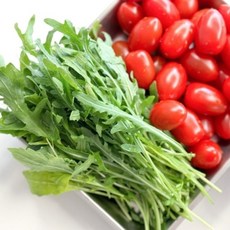 와일드루꼴라 500g, 1개