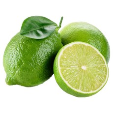 [무배특가] 자연미가 후레쉬 라임 1.7kg(20입내외), 1박스, 1.7kg(20과내외)