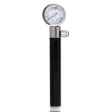 에브리샤인 210psi 고용량 전동휠 전기자전거 휴대용 펌프, 1개, 블랙