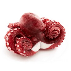 세척 손질 자숙 문어 필리핀 문어숙회 제수용, 1개, 약 900g