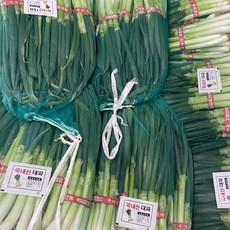 (당일경매) (당일발송) 국내산 대파 1단 (1kg 내외)(엠제이프레쉬), 1개, 1kg