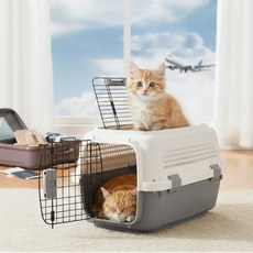 집이야기 반려동물 켄넬 강아지 고양이 이동장, 1개, 그레이