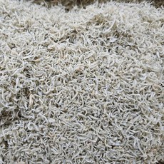 남해안 햇 지리멸치 볶음멸치 식당용 업소용, 1개, 1.5kg