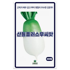 산들 플러스 무씨앗 300립 근피 매우 곱고 뿌리 맺힘이 우수한 소량 김장무씨 종자, 1개