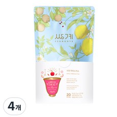 SSANGGYE Fruit Hug袋裝蘋果&洛神花茶包, 1.5g, 20入, 4個