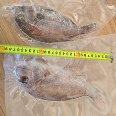 동해바다 해풍건조 도미(참돔) 2마리 대방출(26~30cm), 1개, 2마리(26~30cm)내외