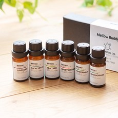 멜로우버디 천연 아로마 에센셜 오일 6종 세트, 아로마오일6종, 60ml, 1개