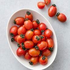 국내 최초 수확 발송 레드 와일드 루꼴라 데코용, 1개, 1kg