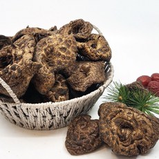 [경동버섯유통 송이 능이]자연산 능이버섯/ 건조능이버섯 말린버섯 D급 파지, 100g, 1개