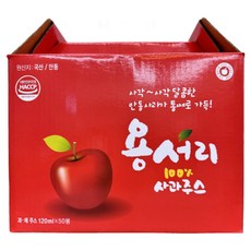 허니HNY 사과 100% NFC 착즙 용서리사과즙, 120ml, 50개