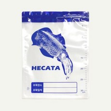 헤카타 낚시 지퍼백 10장 비닐팩 5리터 오징어 한치, 지퍼백-10장, 10개