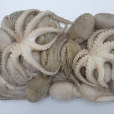 활쭈꾸미1kg 100up 8-10마리 태국산 냉동 쭈꾸미 볶음 탕, 1개